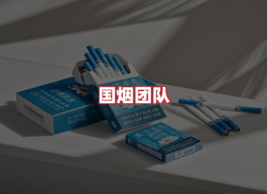 国烟团队